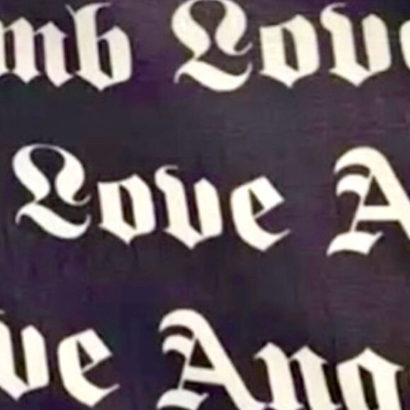 NWOT LAMB LeSportsac G.Stefani 1st Edition Collectors CD case, No Keychainain - Picture 3 of 4